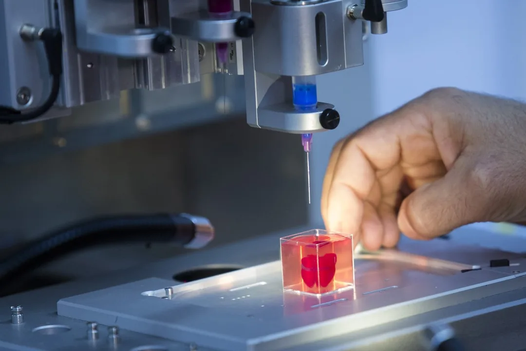 3D-Printed Organs