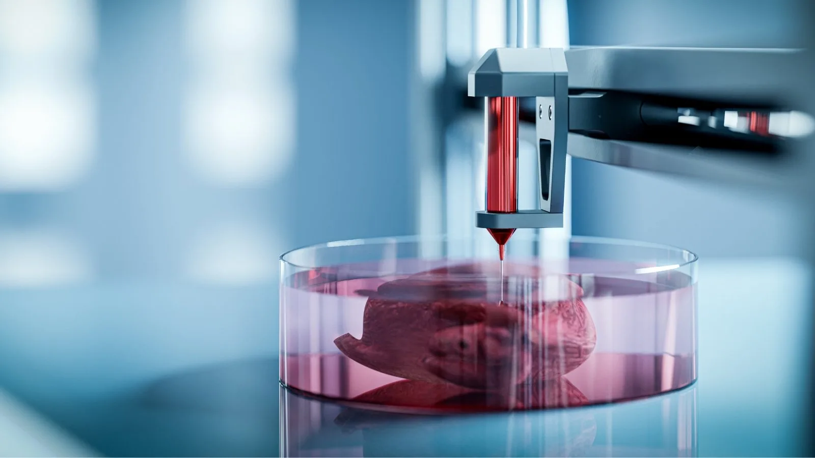 3D-Printed Organs