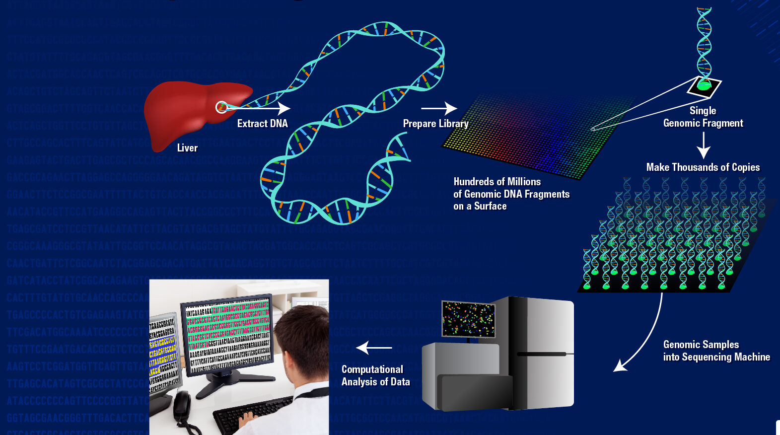 DNA Data Storage: The Future of Information Preservation 100%