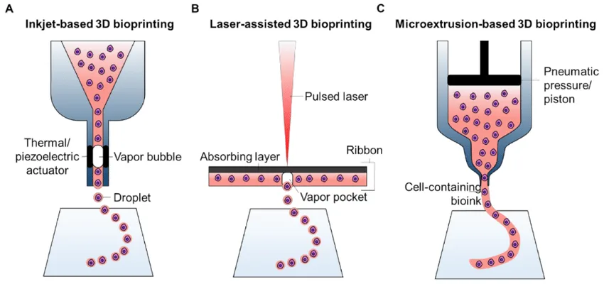 types of Bio-Printing