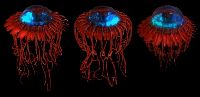 Atolla Jellyfish
