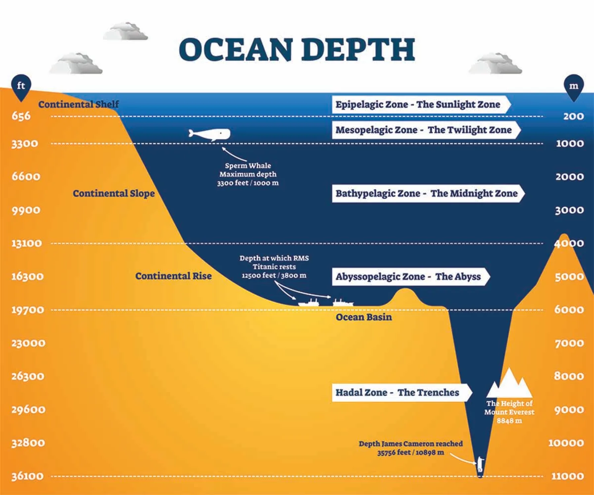 Mariana Trench